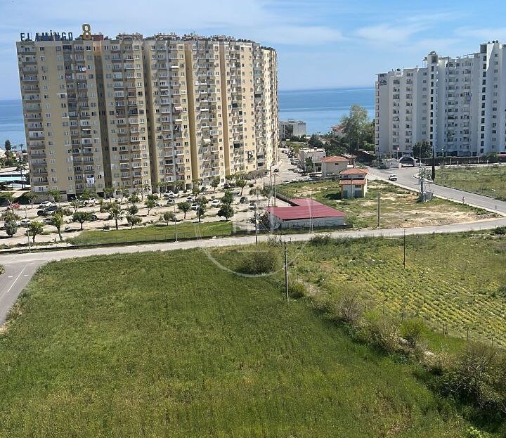 видеоизображение