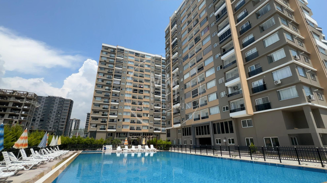 видеоизображение