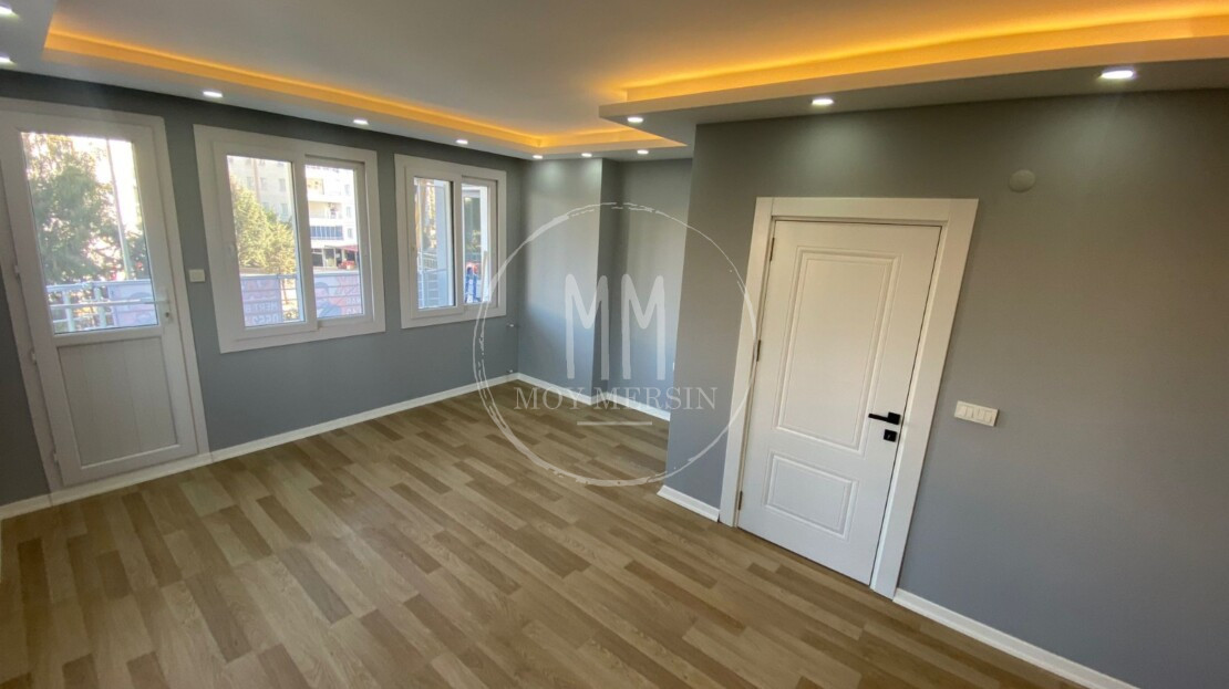 видеоизображение