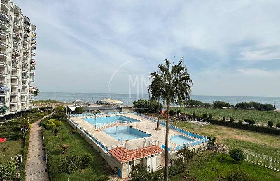 видеоизображение