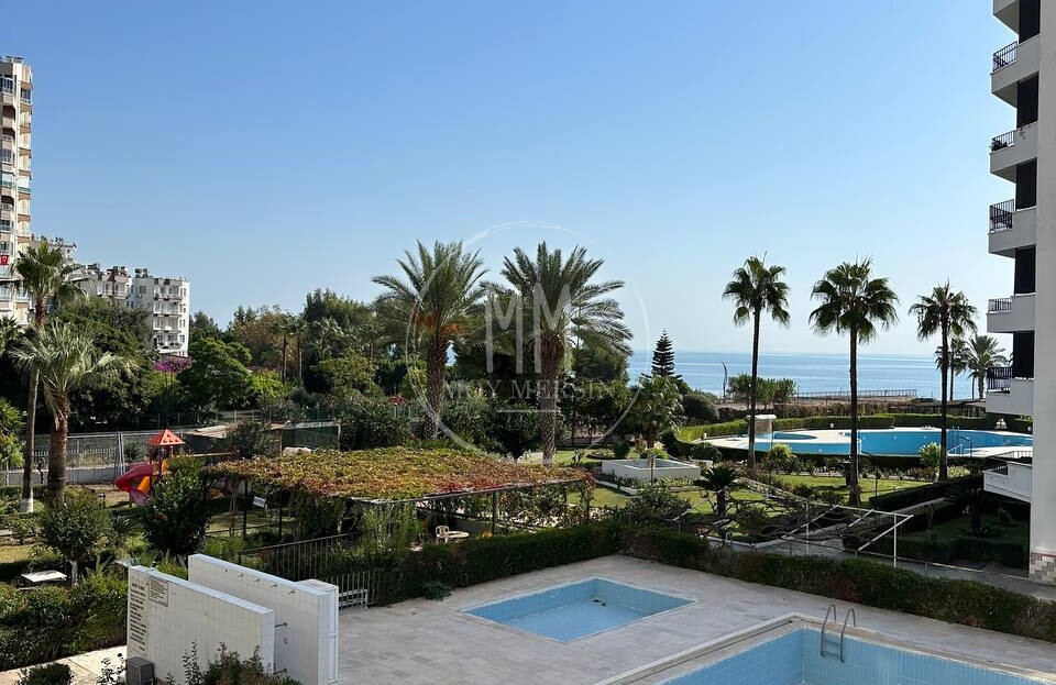 видеоизображение