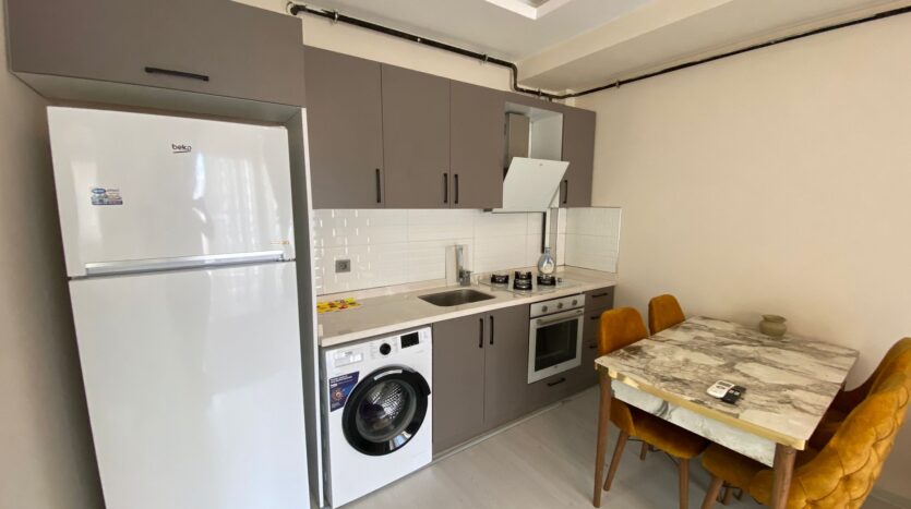 Квартира 1+1 Тедже с мебелью и техникой