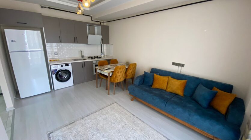 Квартира 1+1 Тедже с мебелью и техникой